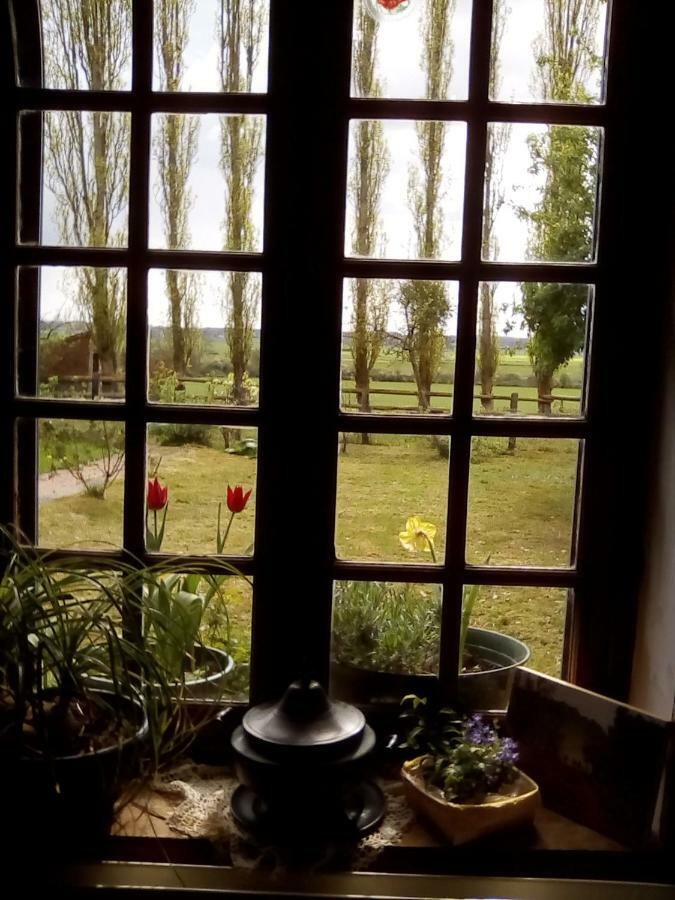 Bed and Breakfast La Ferme Des Vignes Hotot-en-Auge Екстер'єр фото