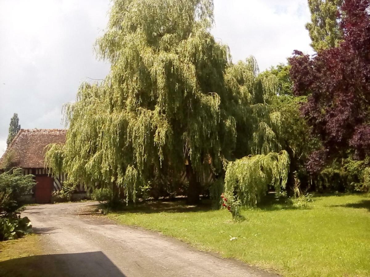 Bed and Breakfast La Ferme Des Vignes Hotot-en-Auge Екстер'єр фото